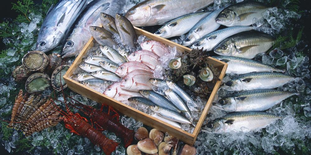 where to buy fish in singapore